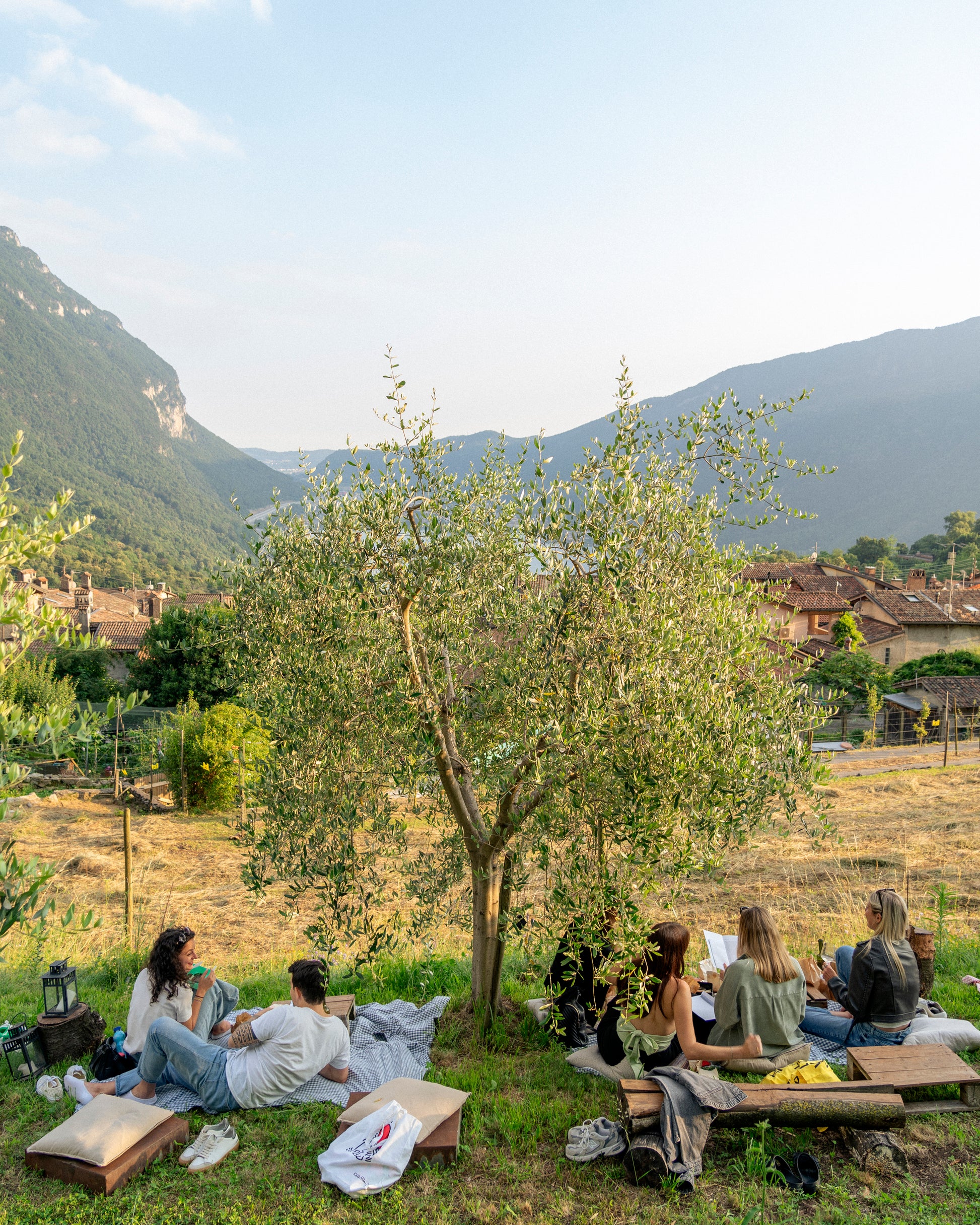 Voucher for Picnic at the Biodiversity Garden