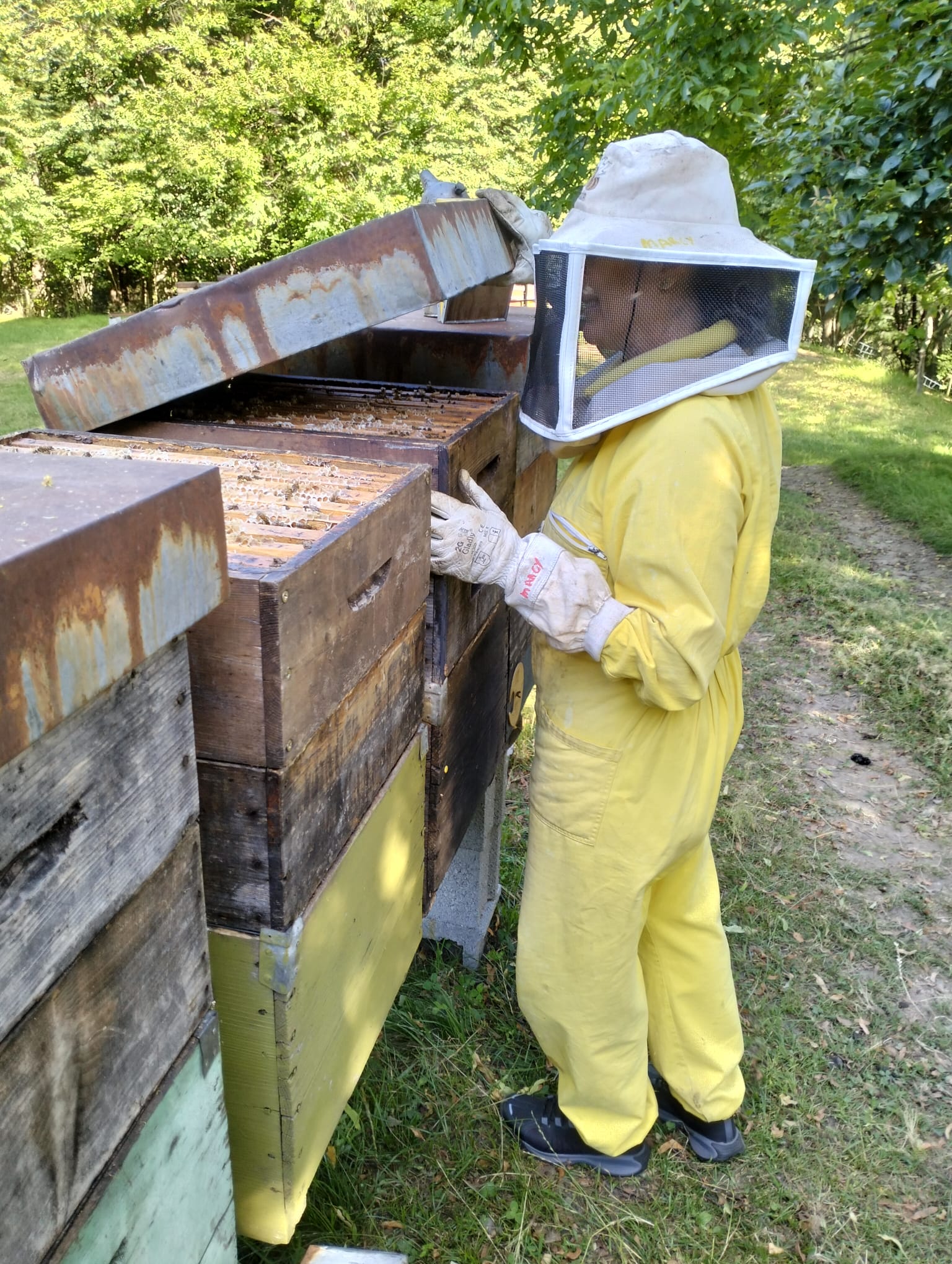 Bianchi Experiences in the Apiary