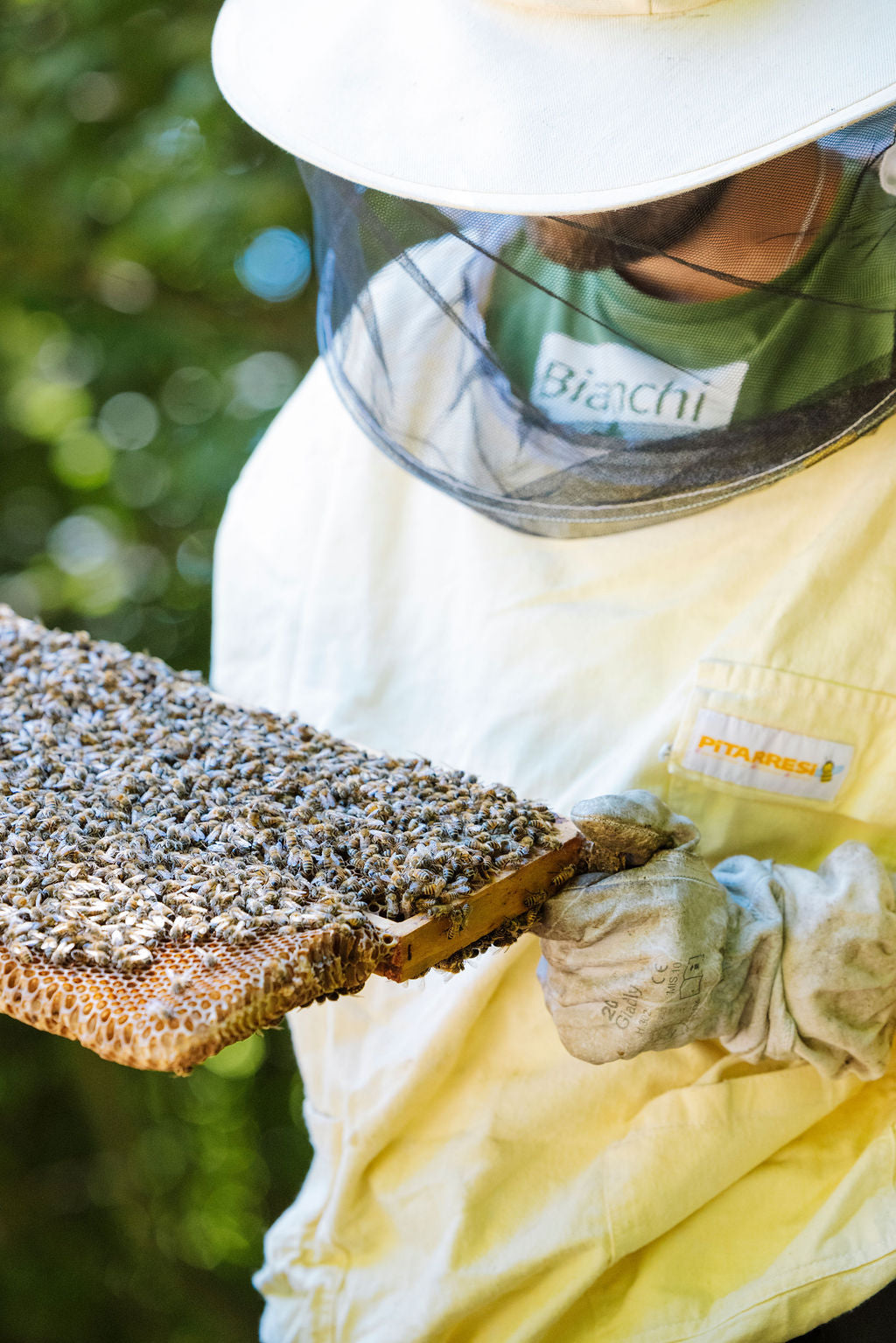 Bianchi Experiences in the Apiary
