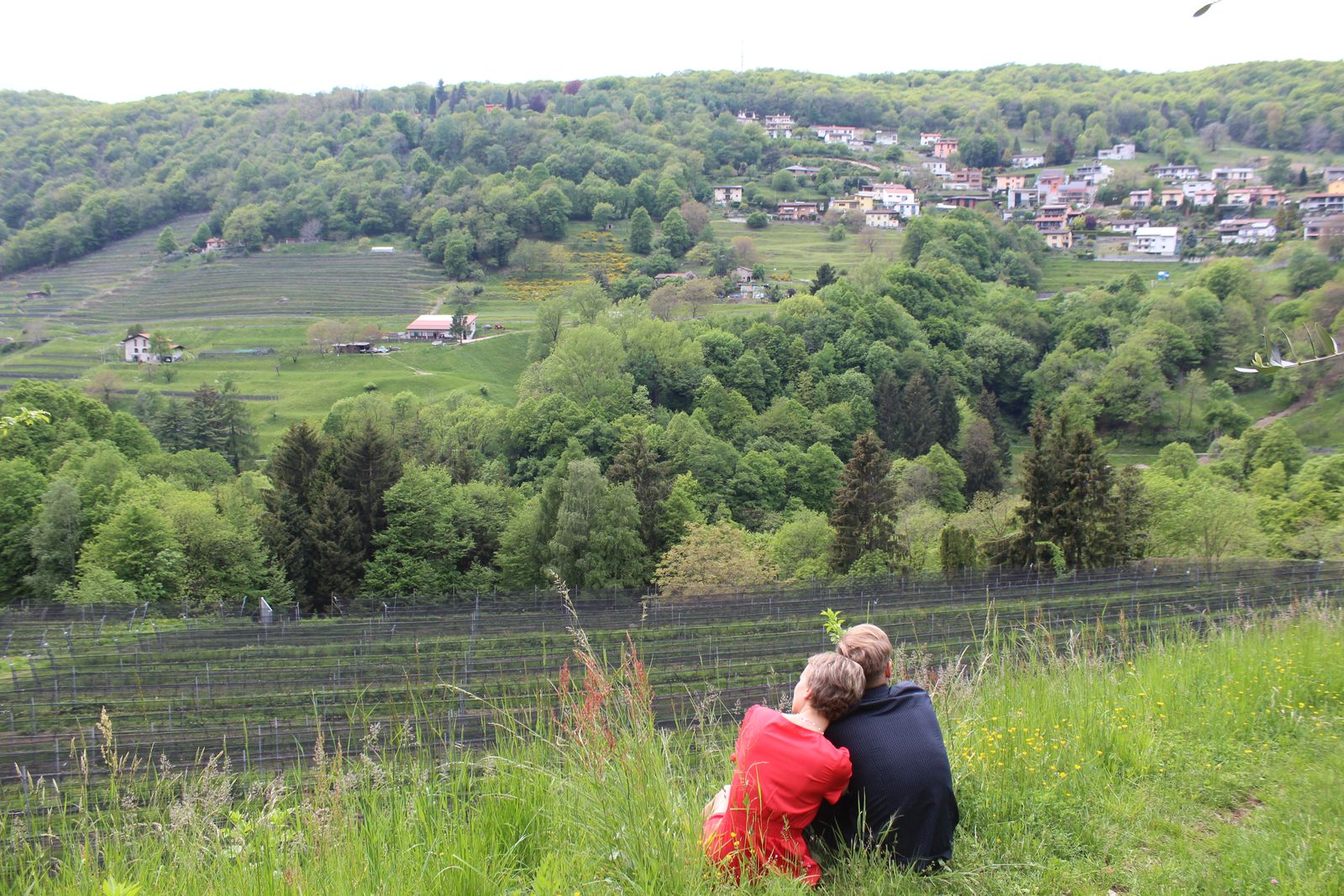 Bianchi Experiences Wine Tour & Tasting CLASSIC