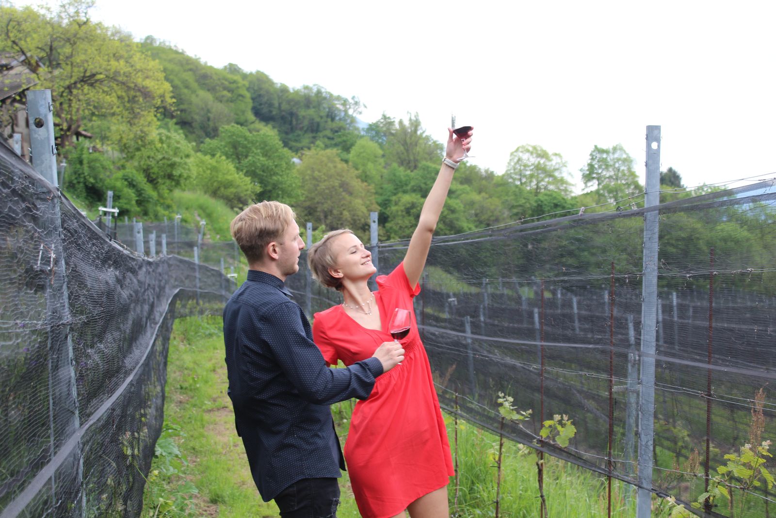 Bianchi Experiences Wine Tour & Tasting CLASSIC