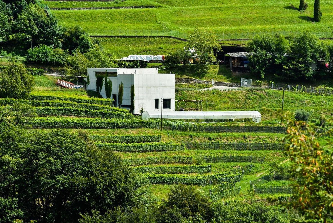 Experience "A Day at the Organic Farm"