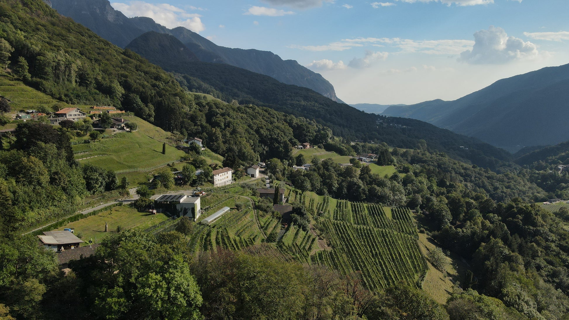 Experience "A Day at the Organic Farm"