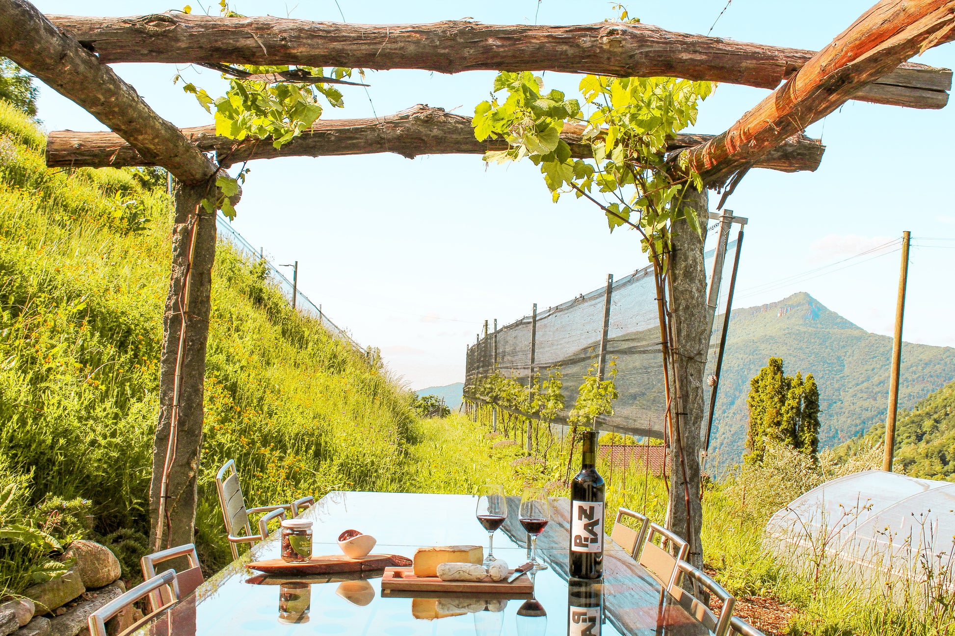 Experience "A Day at the Organic Farm"