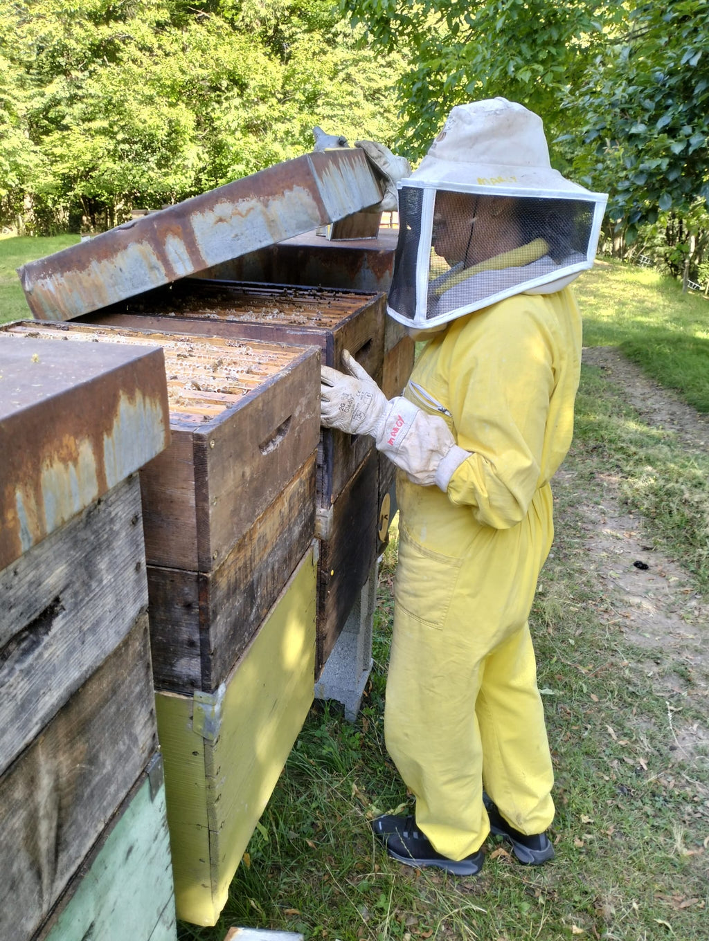 Bianchi Experiences in the Apiary