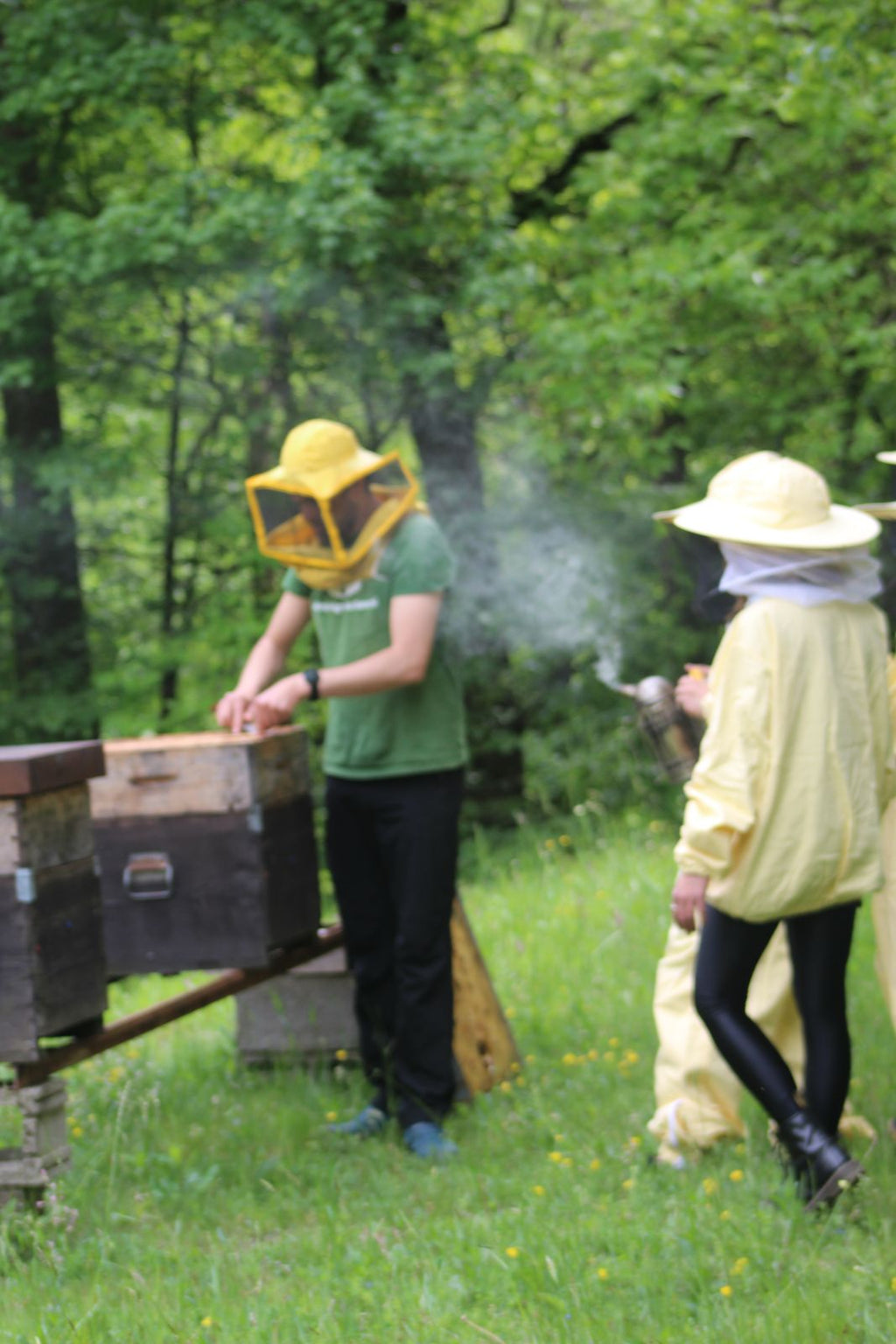 Bianchi Experiences in the Apiary